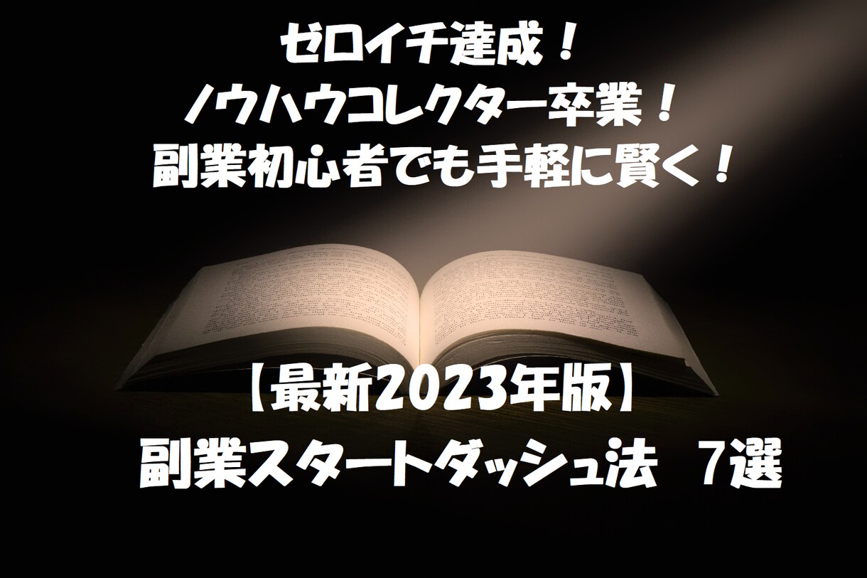 副業スタート戦略/初めての副業スタイル7選教えます ゼロイチ達成！コレクター卒業！手軽に賢く稼ぐ副業方法を体系化 イメージ1