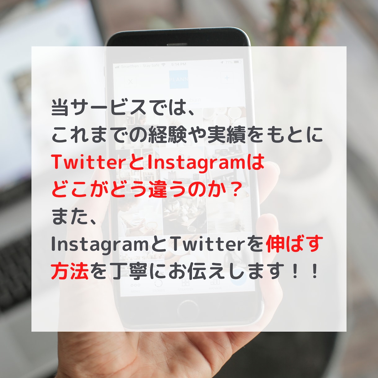 TwitterとInstagramの違いを教えます 現場実績あり！ツイッターとインスタグラムを伸ばす方法を伝授！ イメージ2