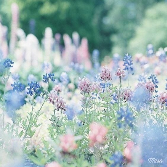 典型的めんどくさい女が複雑な気持ち教えます ❤好きなのにどうしてすれ違うの？失恋/もやもや/不倫/片想い イメージ8