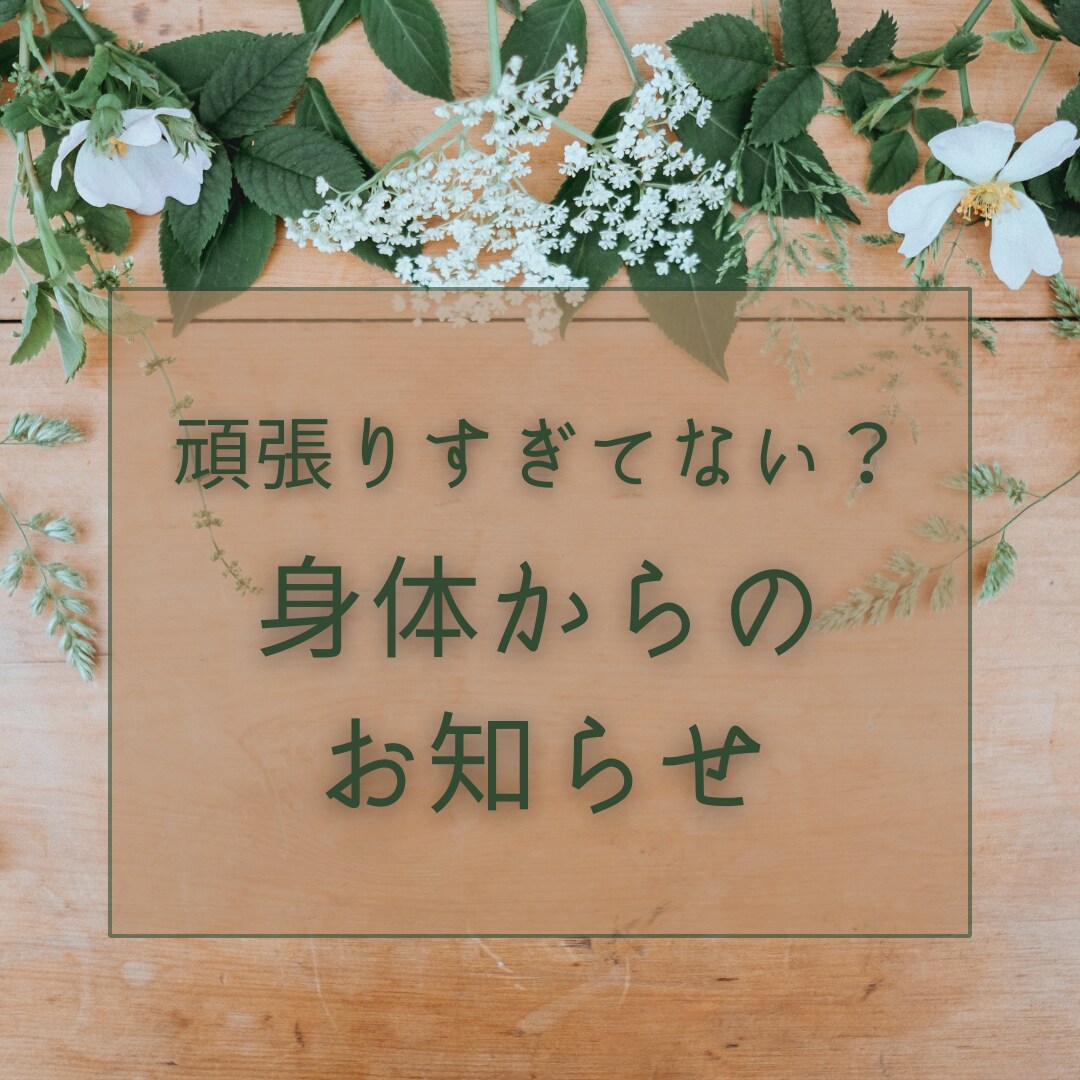 Canvaで名刺、Instagram画像作ります シンプル～可愛いまでお任せ下さい!! イメージ2