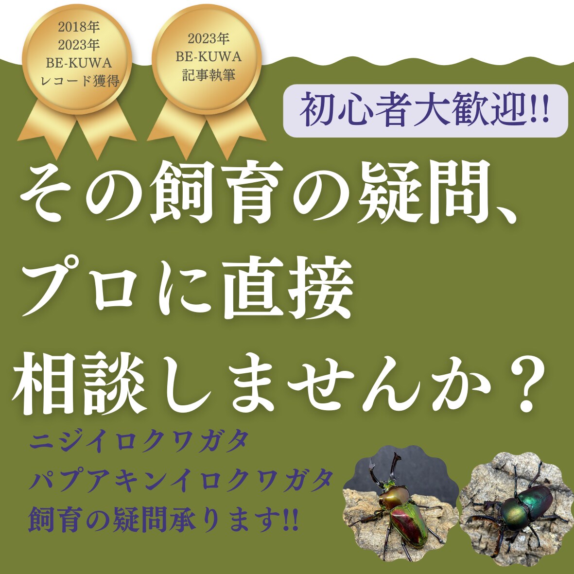 ニジイロ＆パプキン｜クワガタ飼育の疑問、解決します 飼育成功の近道しませんか？現役ブリーダーがお助けします!! イメージ1