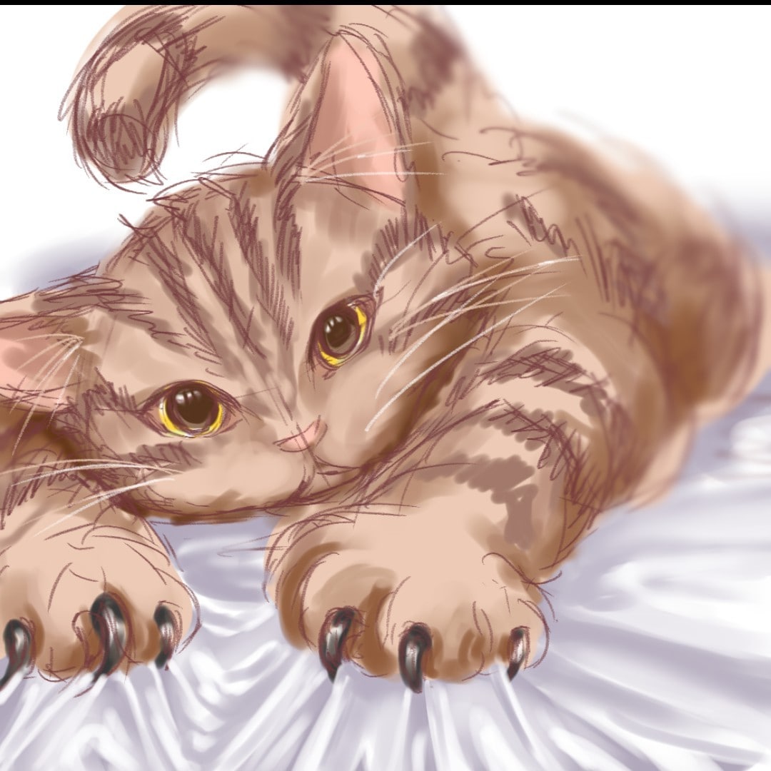 最短2日、1枚絵の制作をさせていただきます 好みに合わせた絵柄、塗りを提供させていただきます。 イメージ6