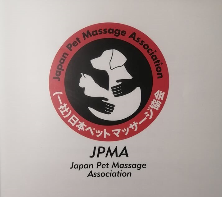 家庭犬専門トレーナーがしつけ方の基本をお伝えします 飼い方、しつけ方、その他日々のお困り事何でもご相談にのります イメージ4