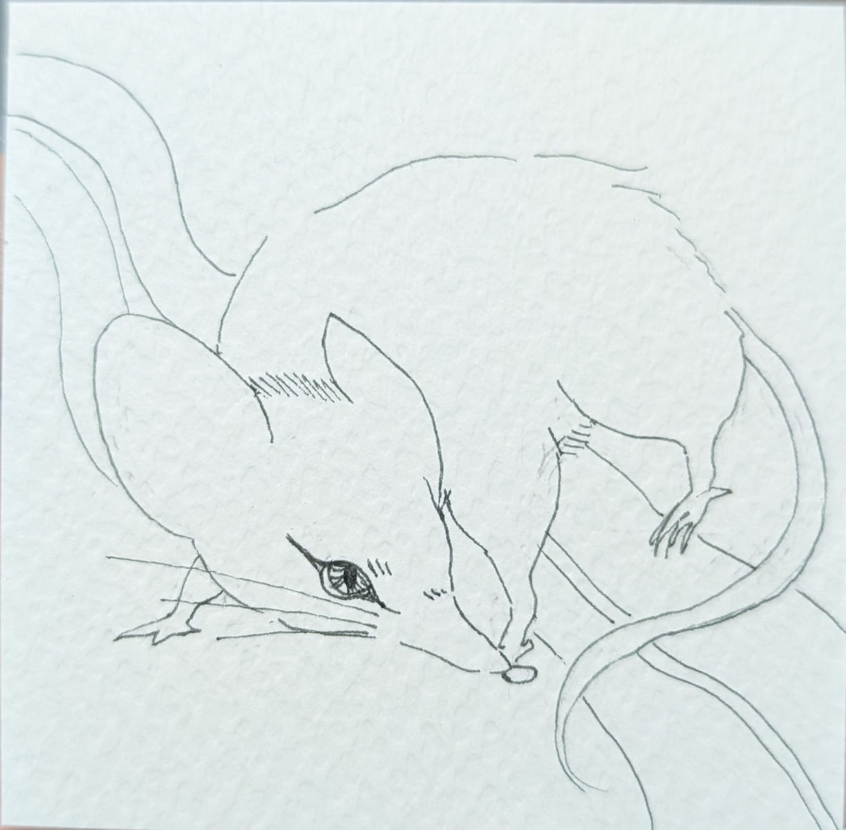開運になる動物イラストを描きます ☆お守り代わりになるあなただけの専用イラスト☆ イメージ2