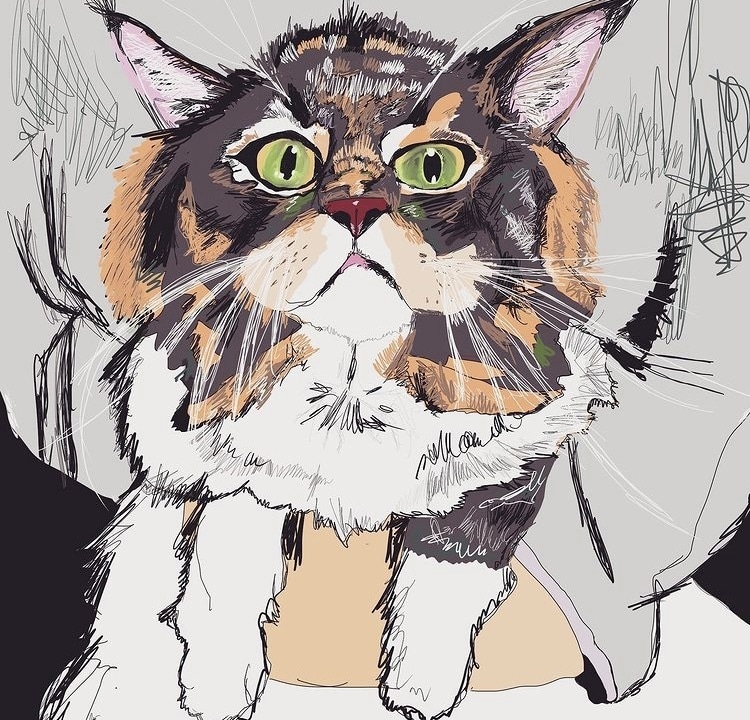 みなさんの猫ちゃんをお洒落なイラストにします 他には無いスタイリッシュで可愛らしいイラストに仕上げます✨ イメージ1