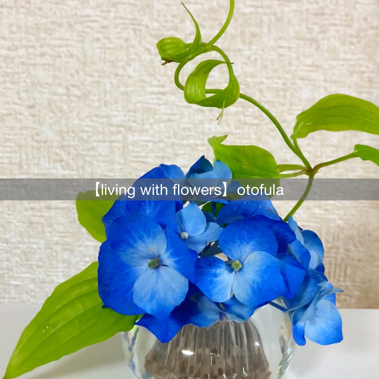 初心者さんにお花の飾り方をアドバイスします あなたもお気軽に『花のある暮らし』をしてみませんか？ イメージ3
