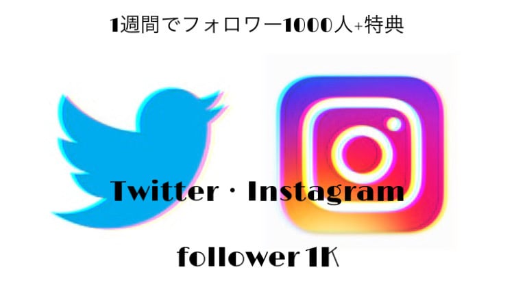 1週間でsnsフォロワー1000人増やします 商品を買ってもらいやすいアカウント作りに。【豪華特典付き】 イメージ1