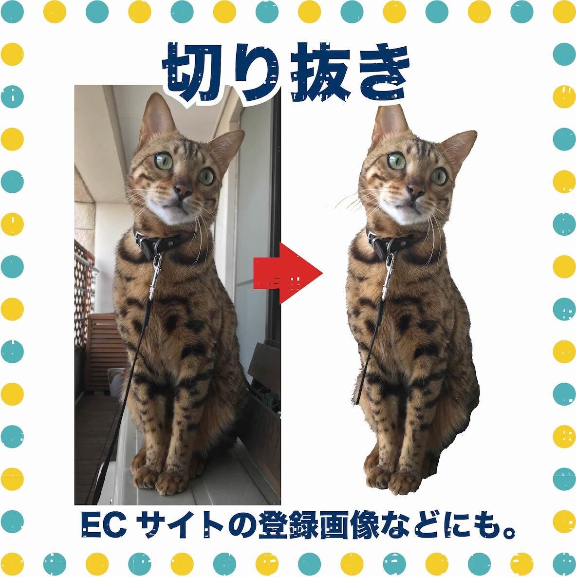 画像の切り抜き・レタッチ・アレンジ致します ECサイト登録画像などご相談ください イメージ2