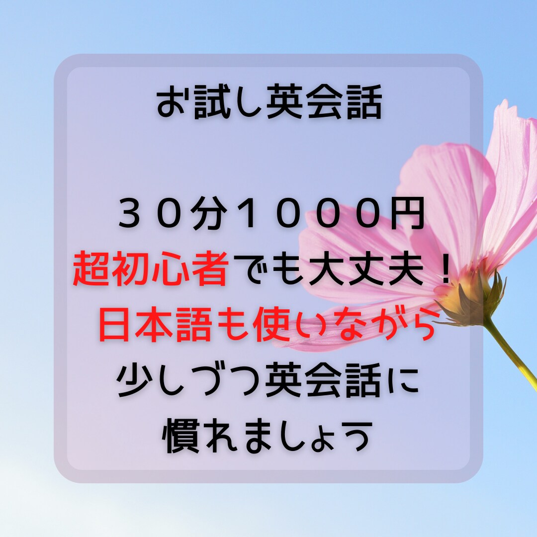 超初心者向け英会話！日本語使いながら英会話します 文法とか全然分かんなくても大丈夫！日本語使って優しくサポート イメージ1