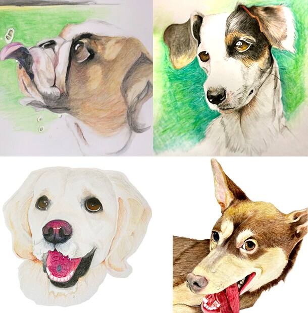 色鉛筆で手書きの愛犬との特別な瞬間を描きます 世界でたった1枚の宝物をアートとして残しませんか？ イメージ1