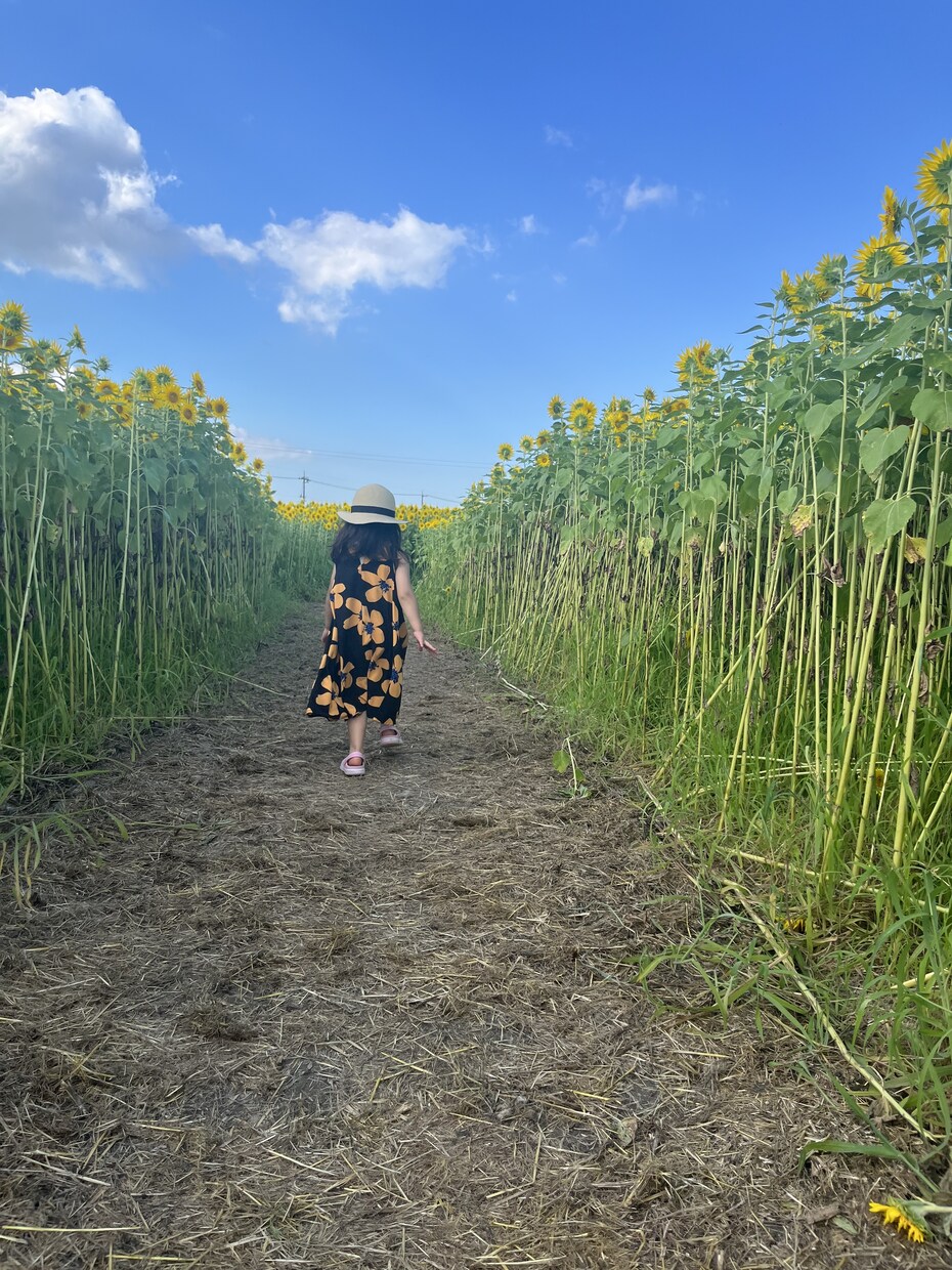 日常の写真を最新iPhoneで販売します 子供風景日常をテーマに撮影します イメージ6