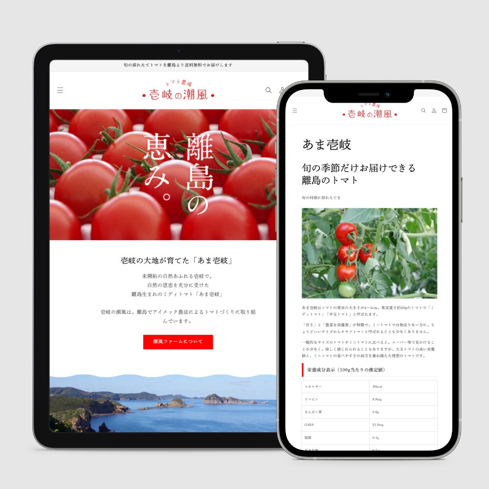 Shopifyサイト構築｜ヒアリングして作ります ビデオチャットで画面共有しながら作るので操作方法を理解できる イメージ4