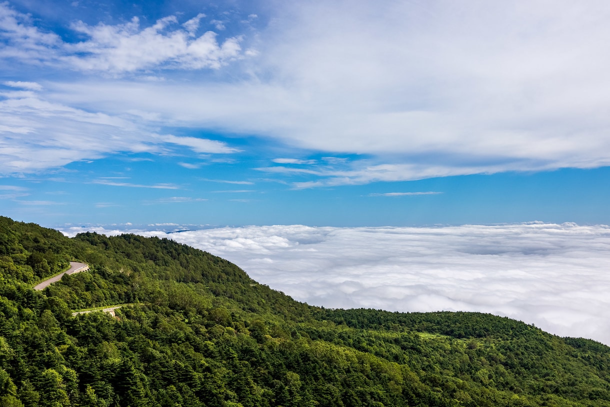 田舎の自然・風景など癒し写真を販売いたします コンテスト多数受賞。高品質の写真を提供致します イメージ10