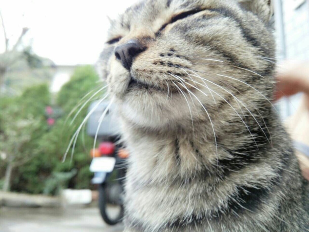お話ししましょう？（╹◡╹）疲れた心を癒します お話なんでも聞きます(*^ω^*) イメージ1