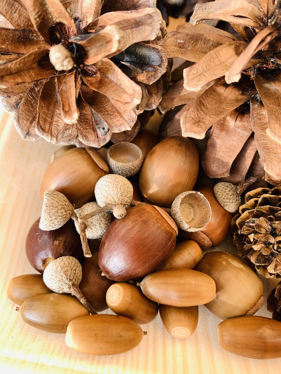 木の実などの自然物を集めます まつぼっくりやどんぐりなど、秋の自然物を集めます。 イメージ2
