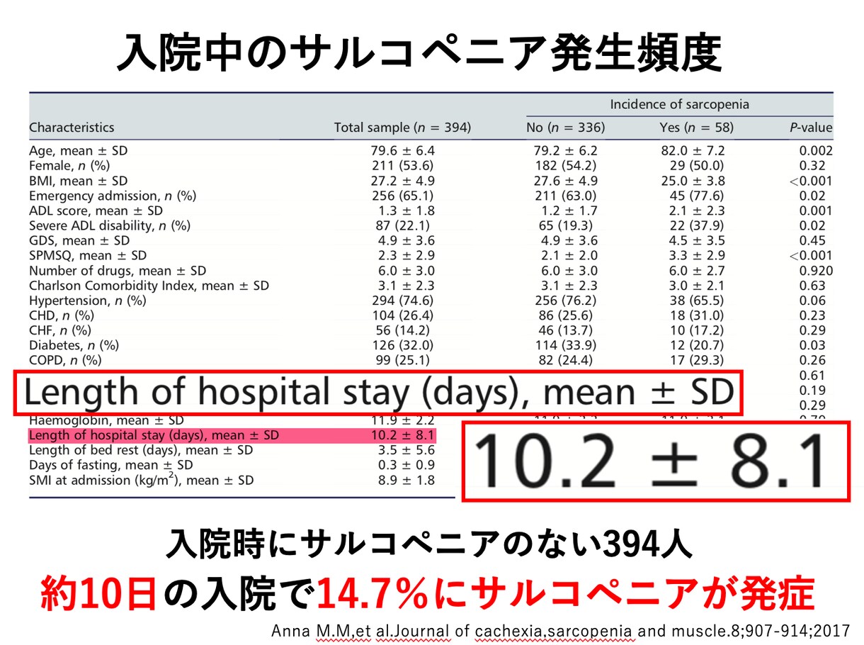 リハビリ，看護向けのパワーポイント作成承ります 循環器，サルコペニア，脳卒中，リハビリテーション，呼吸 イメージ3