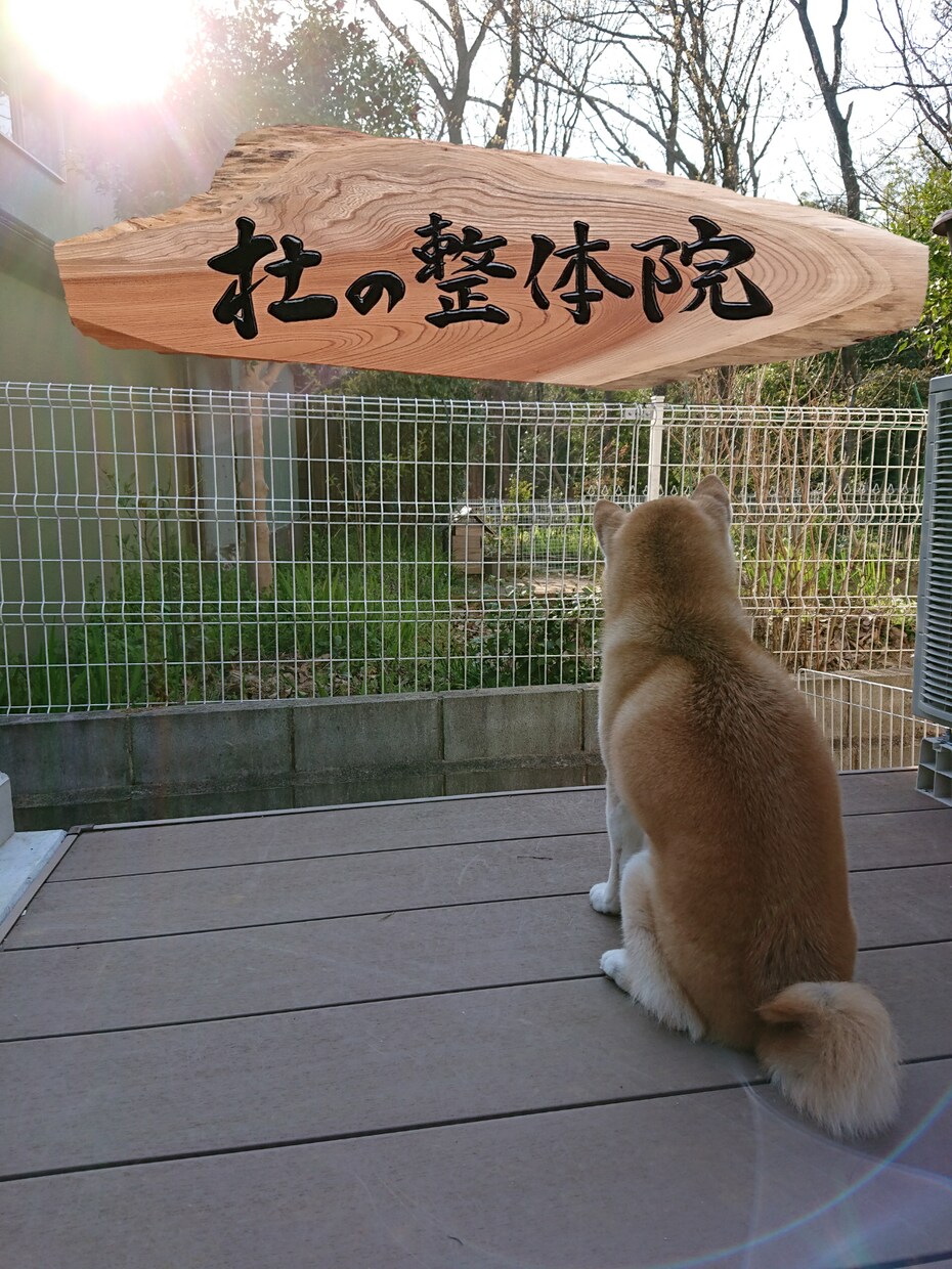 日々の疲れたあなたの心を遠隔ヒーリングします チャクラや体の滞りを整えて心と体を癒します イメージ4