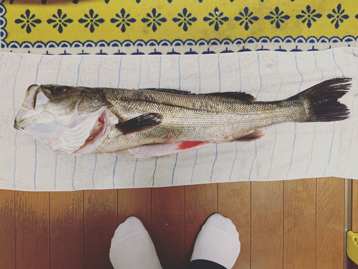 釣り教えます 初めての方や、もっとうまくなりたいかたに。 イメージ4
