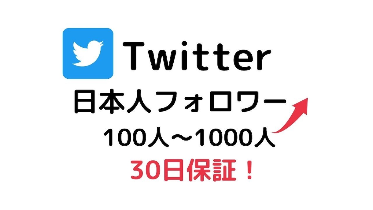 Twitter日本人フォロー増えるように宣伝します Twitter/日本人/フォロワー/１００人〜/保証あり イメージ1