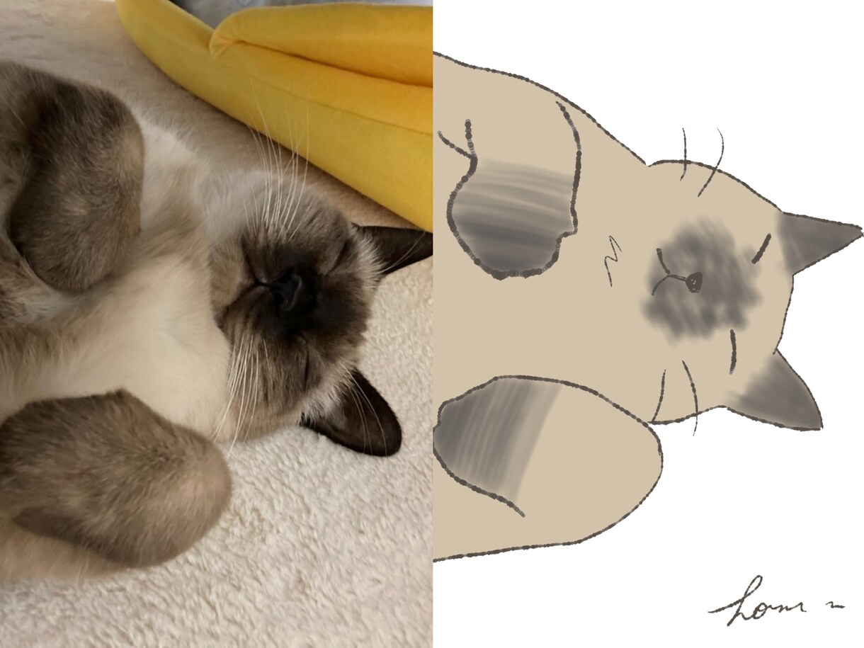 お家の猫ちゃんのイラストを描きます 写真をもとに可愛く描きます。アイコンやヘッダーにどうぞ！ イメージ1