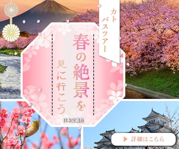 広告バナー・ヘッダー制作いたします パッと見て惹かれる！デザインに制作いたします。 イメージ2