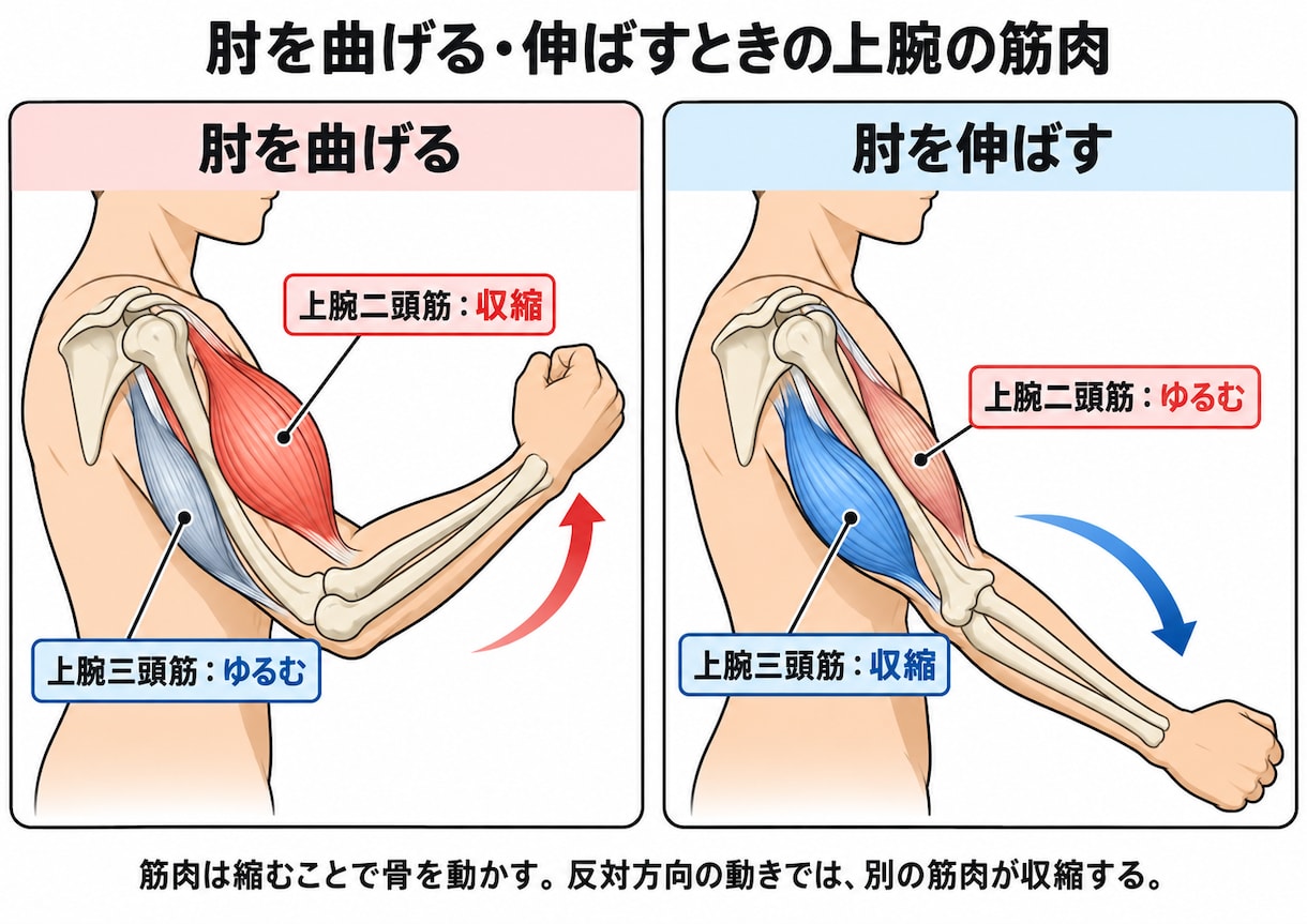 参考画像・資料・ラフから 伝わる説明図を作成します 複雑な内容を、用途に合った見やすい図へ整理します イメージ2