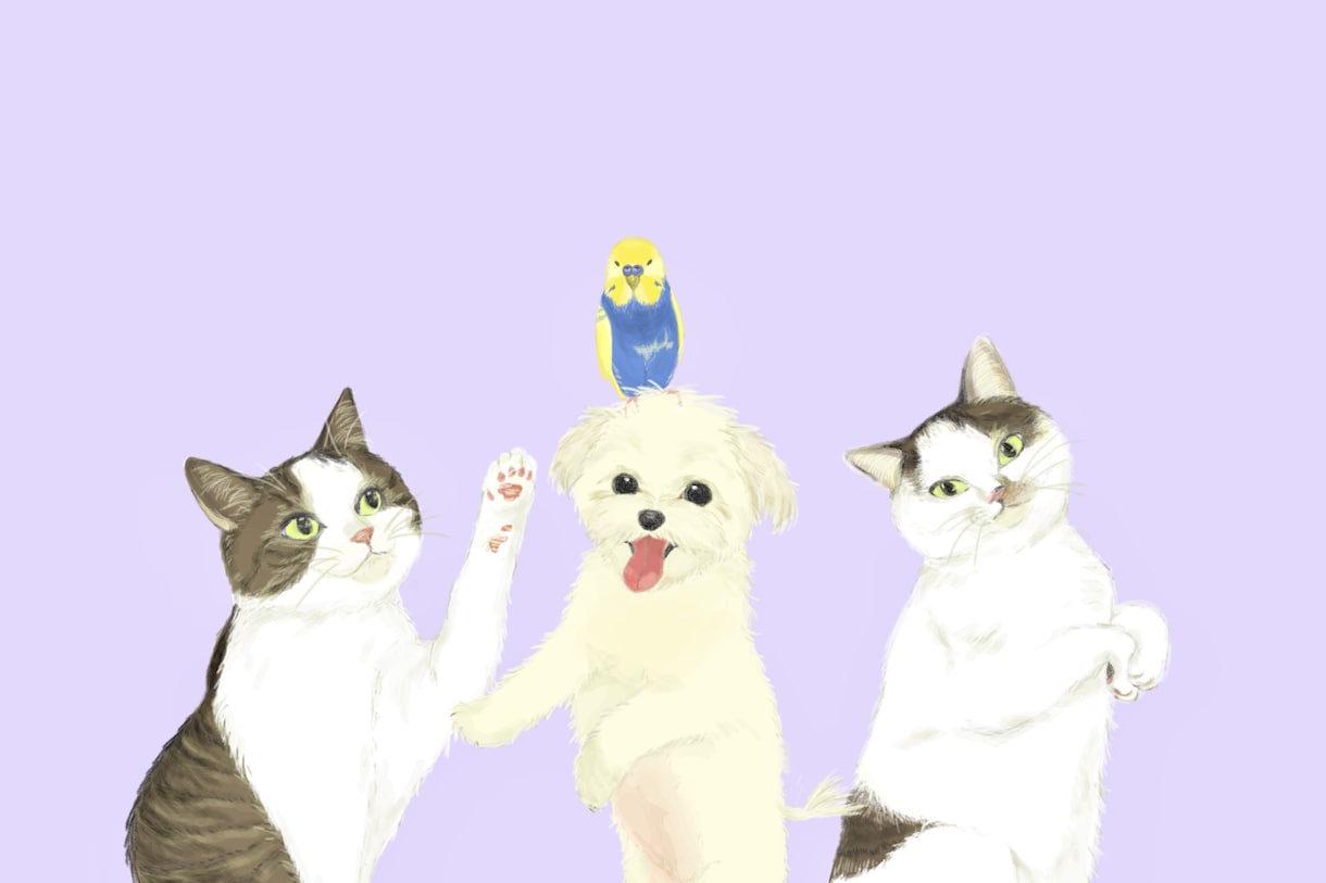 ペットの似顔絵オーダーお受けします お写真をもとにデジタルイラストを作成いたします イメージ1