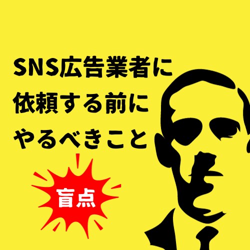 広告運用業者を使う前に「必ず」やるべきこと教えます 結果が数倍変わる！SNS広告業者に依頼する前にやるべきこと！ イメージ1