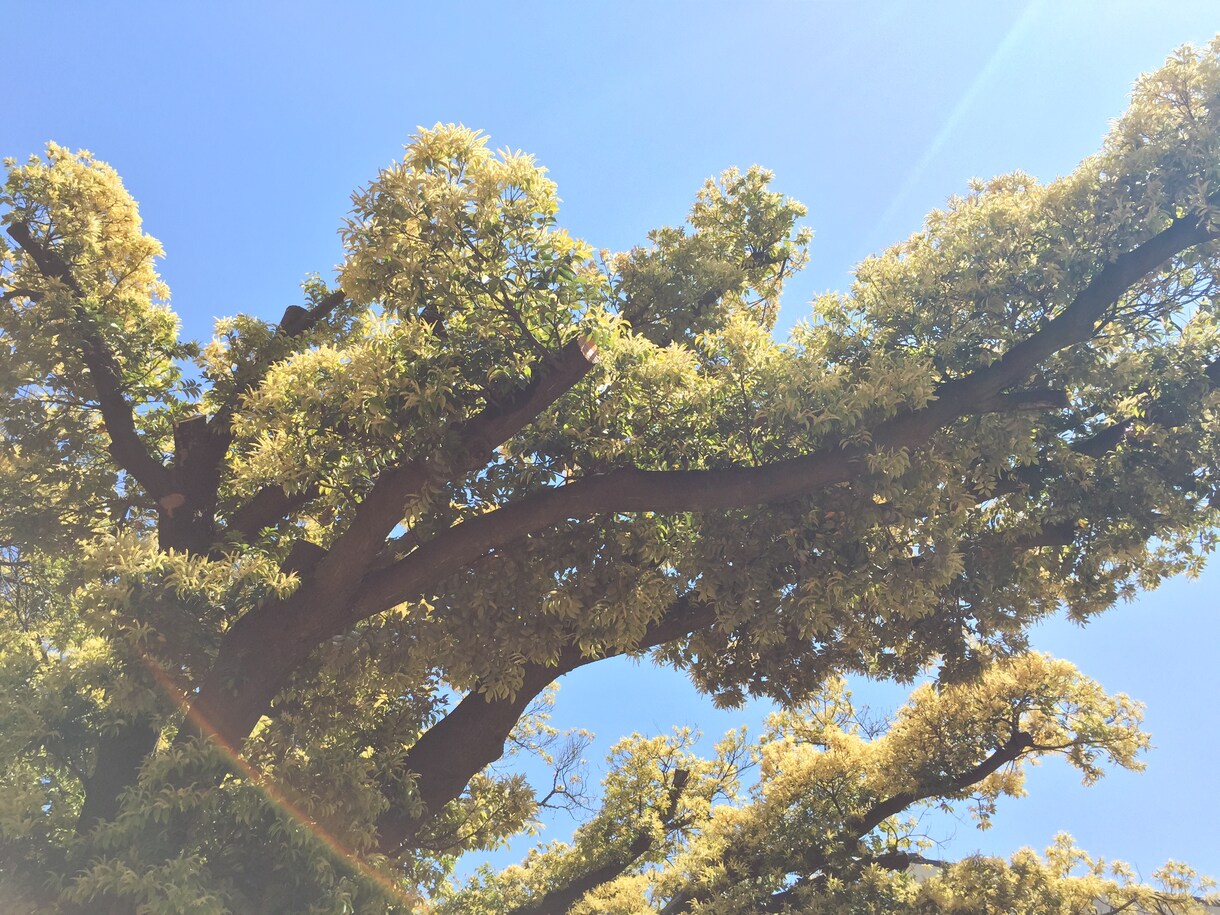 写真でわかる「あの人はこんな人♪」 イメージ1