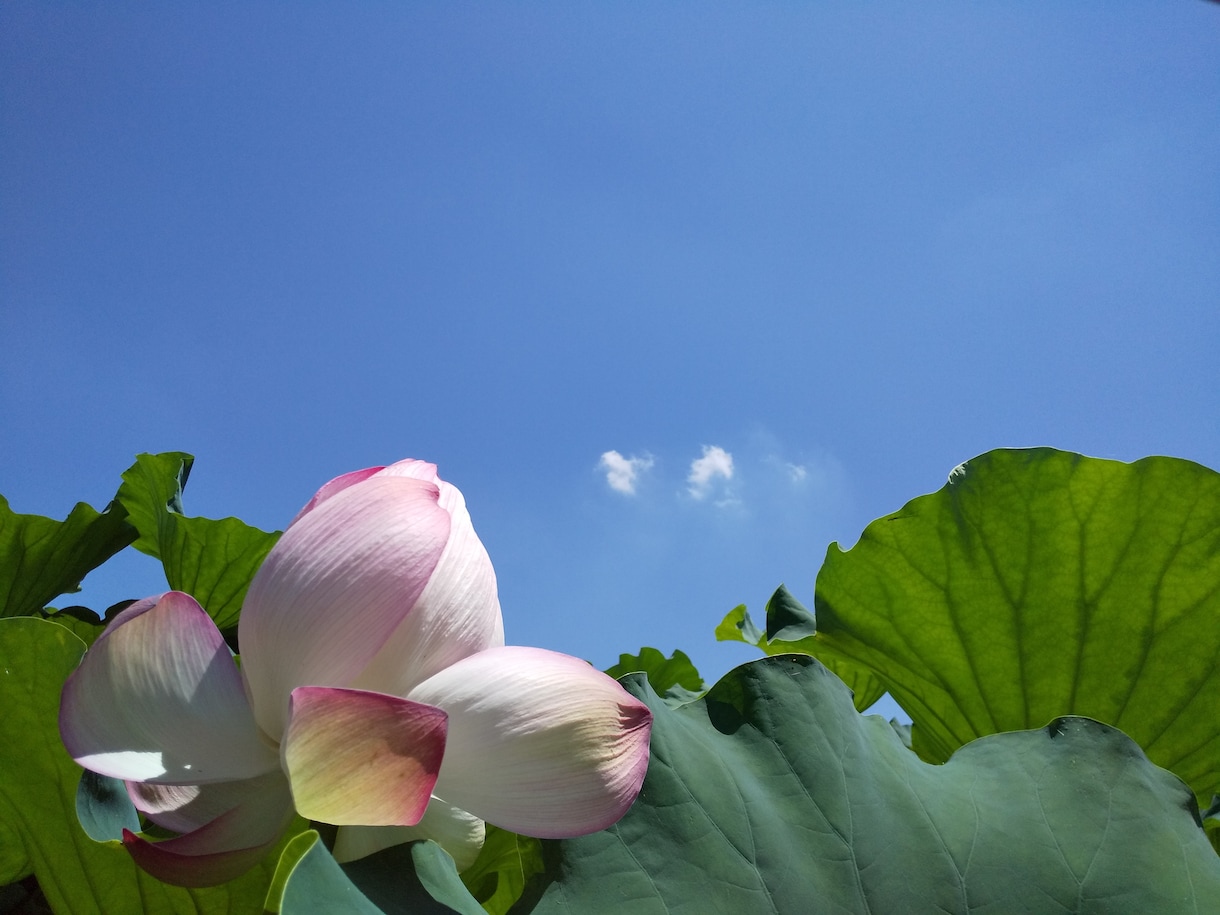 心の悩み相談　受付けます 一緒に考えて、解決しましょう✨ イメージ3