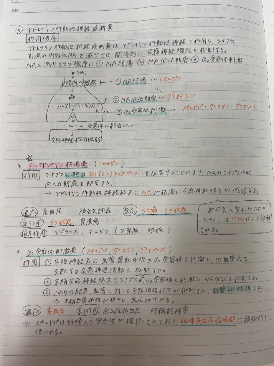 メモ、ノート等の清書をおこないます なんでも綺麗なノートや手紙などに仕上げます！！ イメージ2