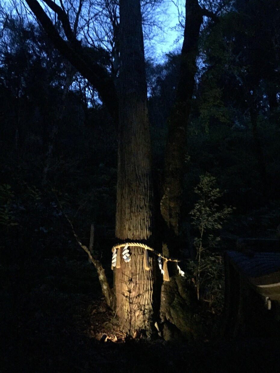 効果抜群！京都の復縁神社へ代行参拝いたします 知る人ぞ知る復縁神社に、貴方の代わりに参拝いたします！ イメージ3