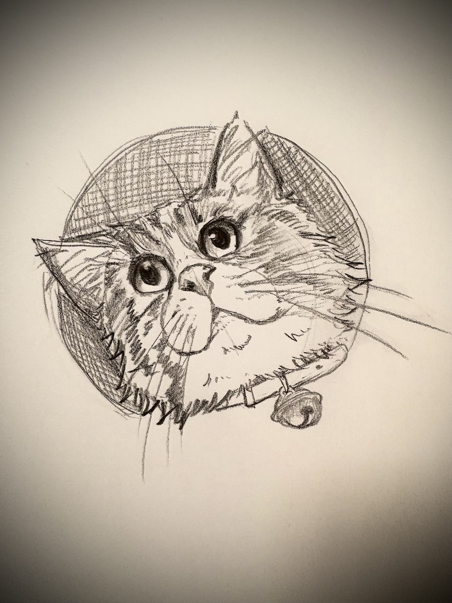 猫ちゃんのイラスト描きます 写真があればどんな猫ちゃんも描きます✏️ イメージ4