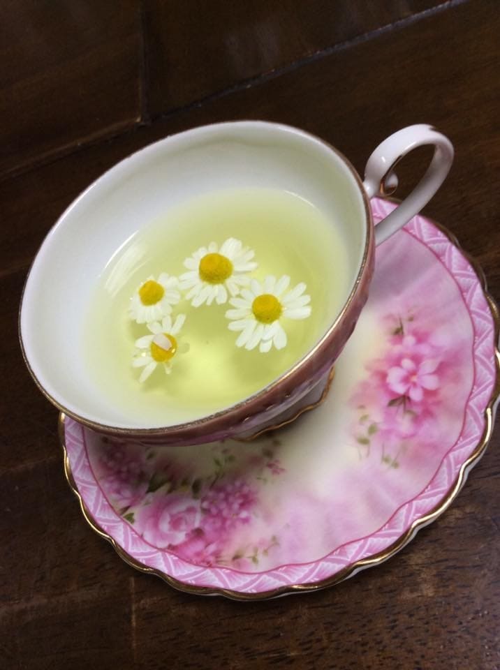 あなたに合ったハーブの活用法を提供します 自然と植物のチカラで美健康へ♪ イメージ2