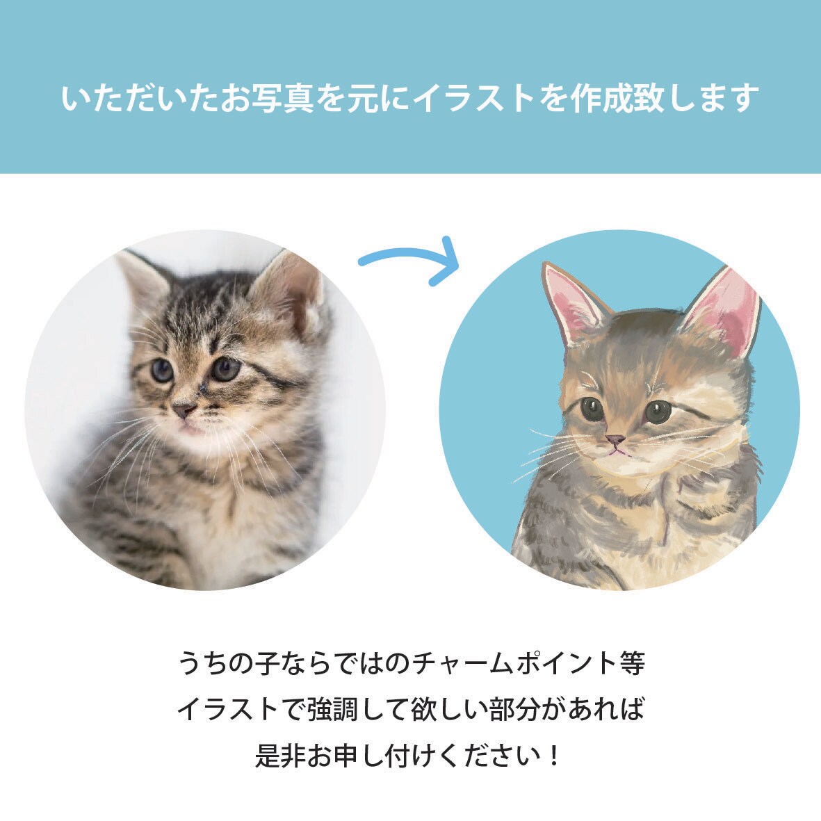 SNSアイコンにも！ペットの似顔絵可愛く描きます SNS・贈り物・グッズ作成などに使いやすい優しいタッチ イメージ4