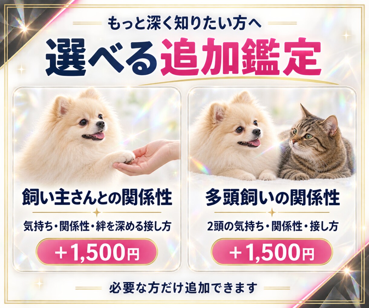 犬の気持ち・猫の気持ちをオーラから読み解きますます 「なんでそれするの？」その子なりの理由があります イメージ6