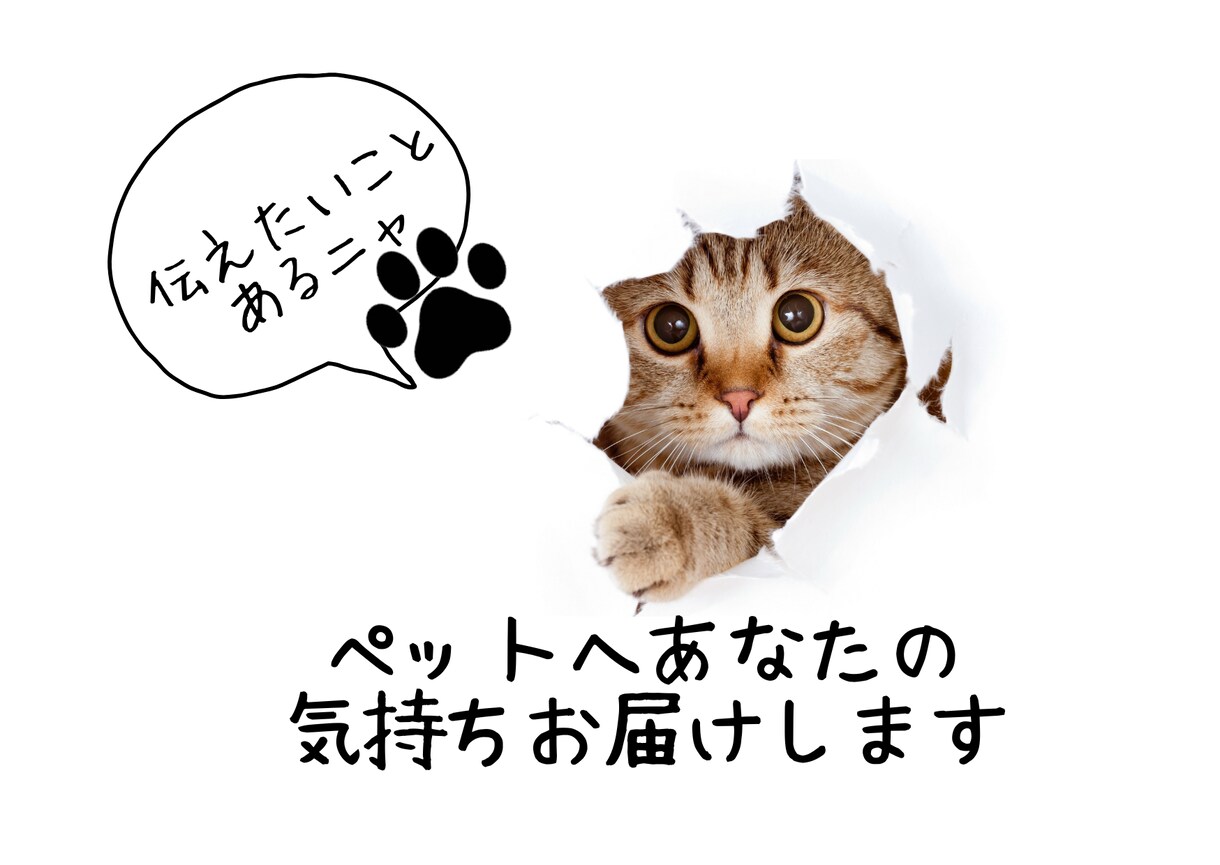 なぜ！？噛む逃げる！愛するペットの気持ちを届けます 貴方の愛の心をお届けすることで変化を実感 イメージ4