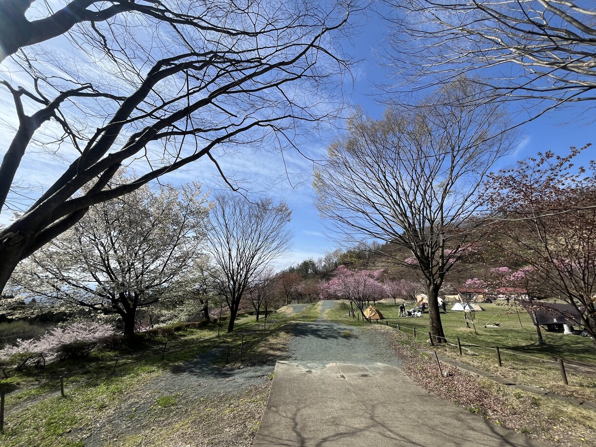 廃棄物処理業界の経験を活かし、専門的な記事書きます 廃棄物処理のプロ×アウトドア好きが書く専門記事 イメージ1