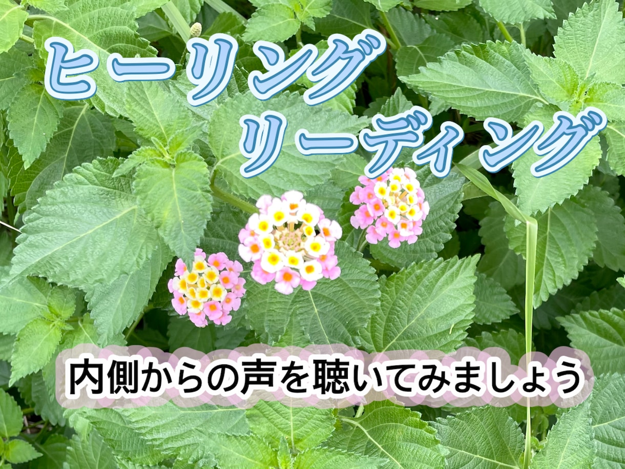 ヒーリング♡リーディングで癒します 感情を大切に、本当の自分に出会う時間 イメージ1