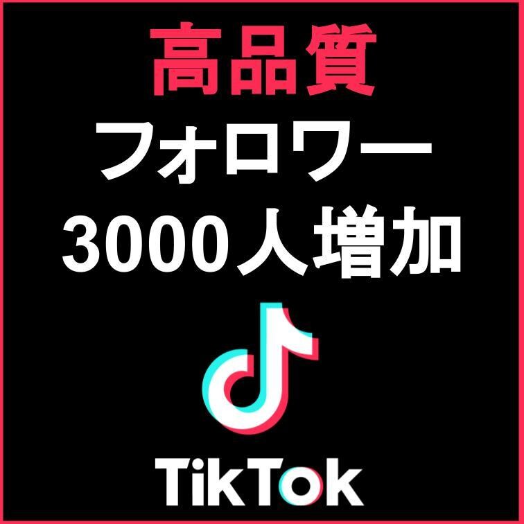TikTokフォロワー3000人増加させます 【10件限定】減少保証あり！限定価格3000円で+3000人 イメージ1