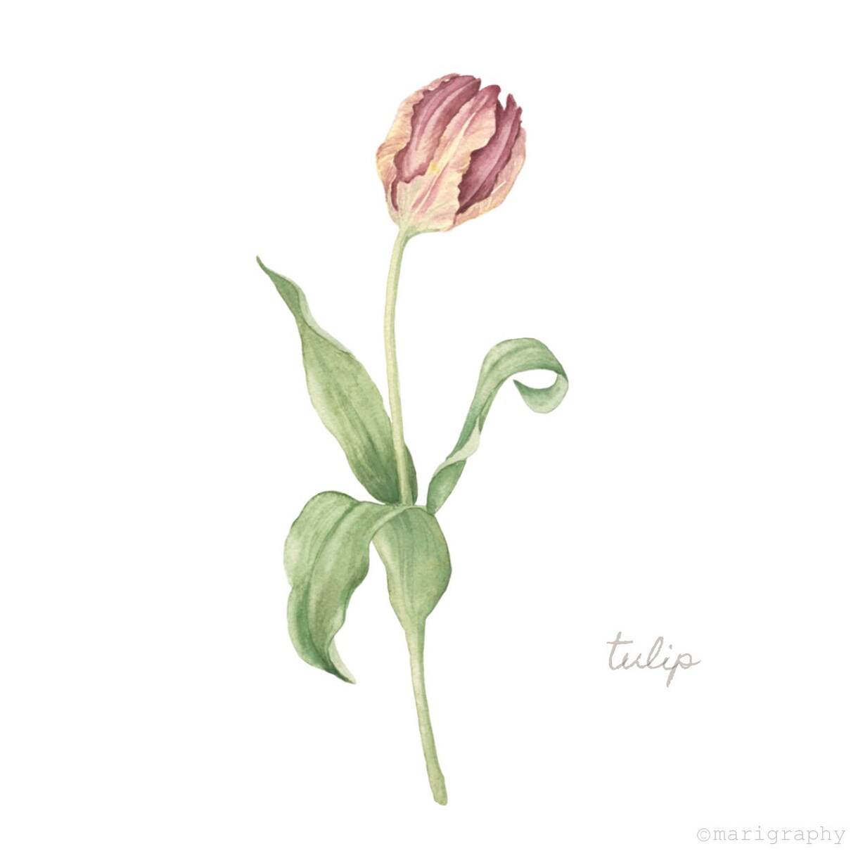 水彩画でお花のイラストを描かせていただきます 〜丁寧なヒアリング〜 温かく優しいタッチが得意です♪ イメージ8