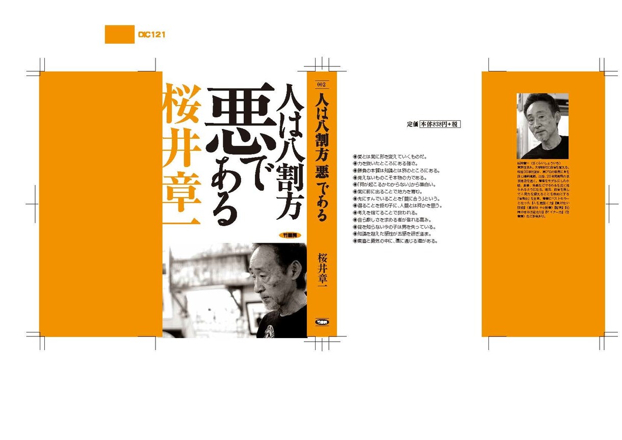 アカギ単行本デザイナー、本のデザイン承ります 柔らかいものから硬い本まで内容に応じて装丁します イメージ4