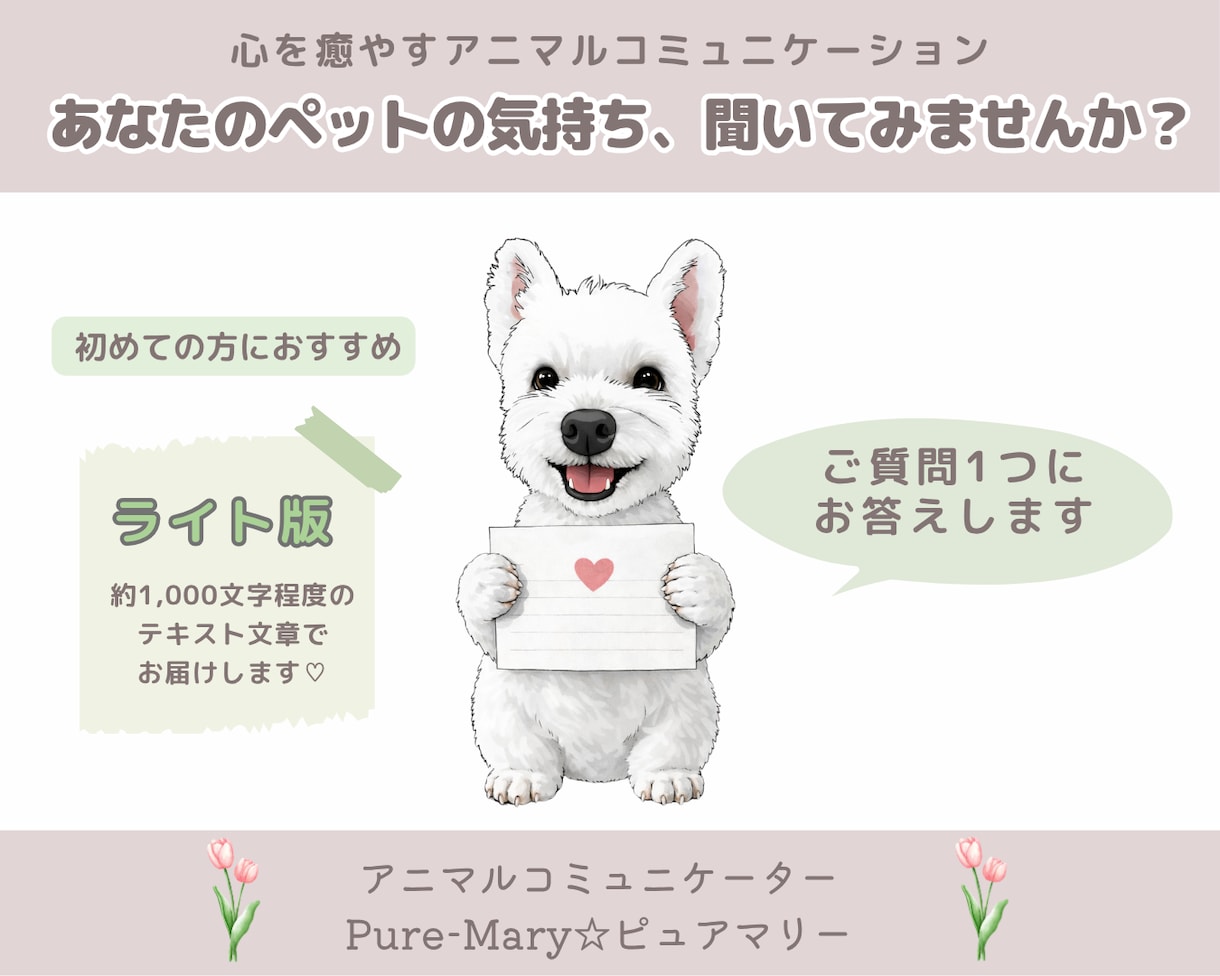 ライト版★アニマルコミュニケーションします ★ペットの気持ちをやさしくお伝えします イメージ1