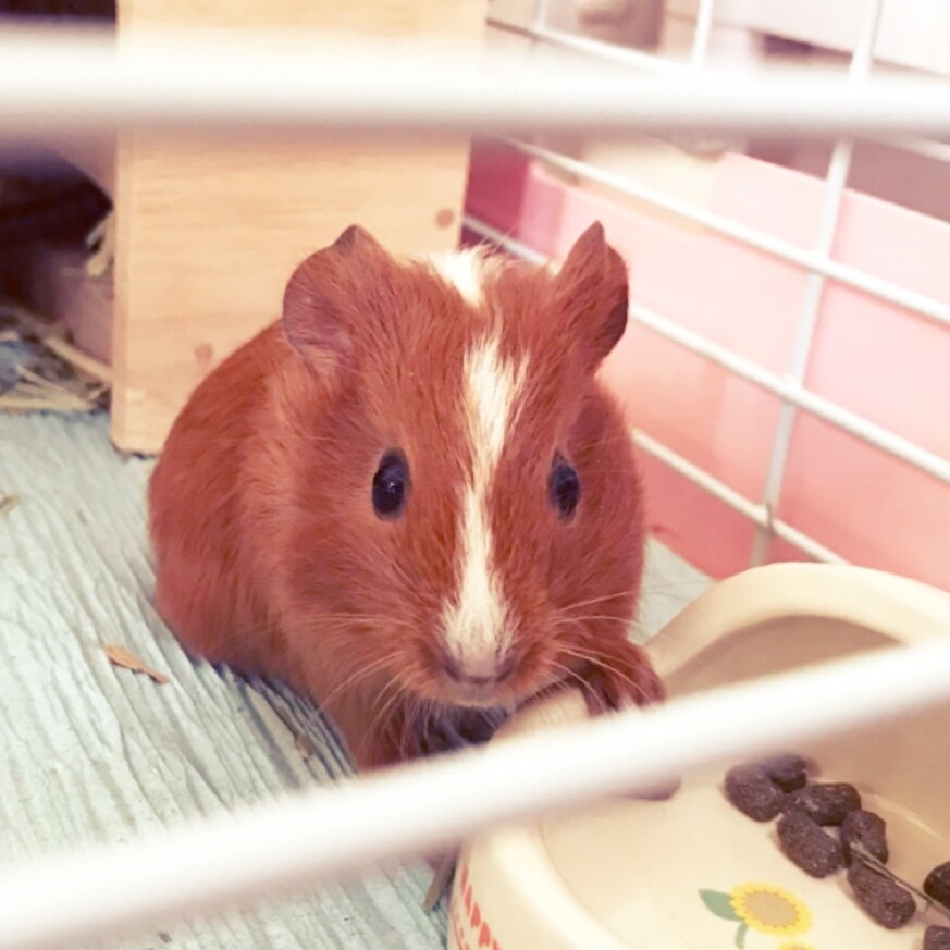 harehare358様専用  占います 大変ご迷惑と負担がかかってしまい、申し訳ございません イメージ1