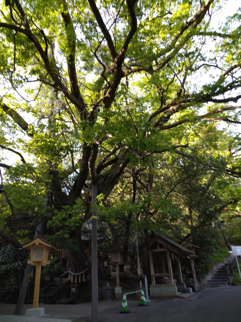 あなたのお悩み相談にのります 人生経験豊富なオジ様があなたのお悩みスカッと解決。 イメージ1