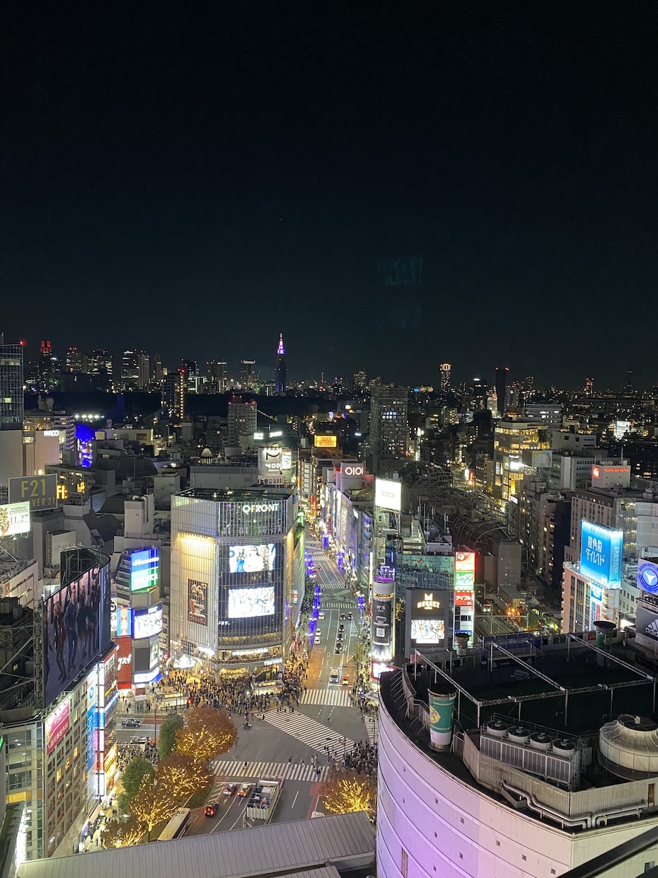 あなたに合わせた、東京の観光プランをご提案します 質問に答えるだけで、東京案内のプロがベストプランを導きます！ イメージ8