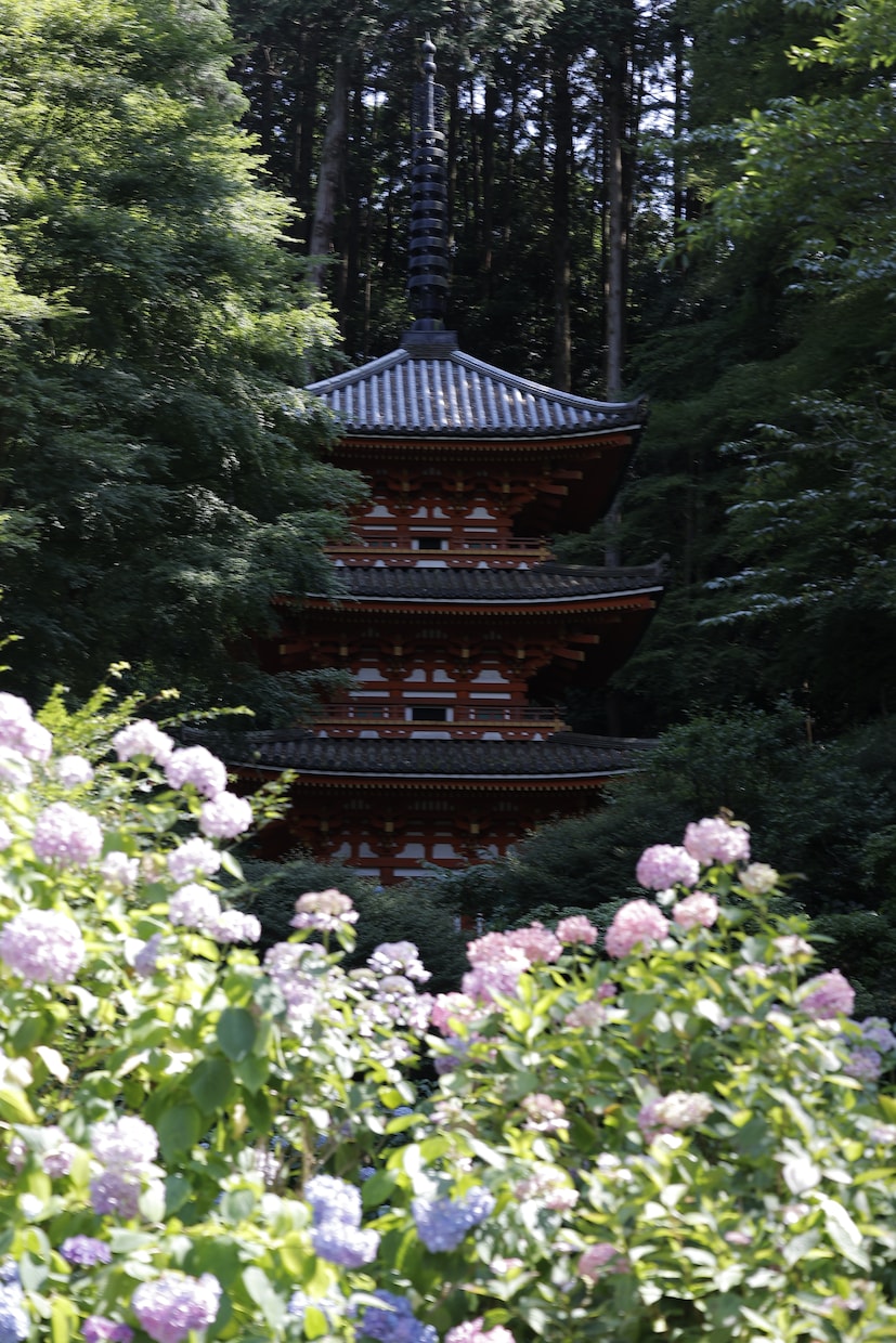 風景写真提供、撮影代行します 風景撮影は任せて！風景撮影の代行承ります！ イメージ3