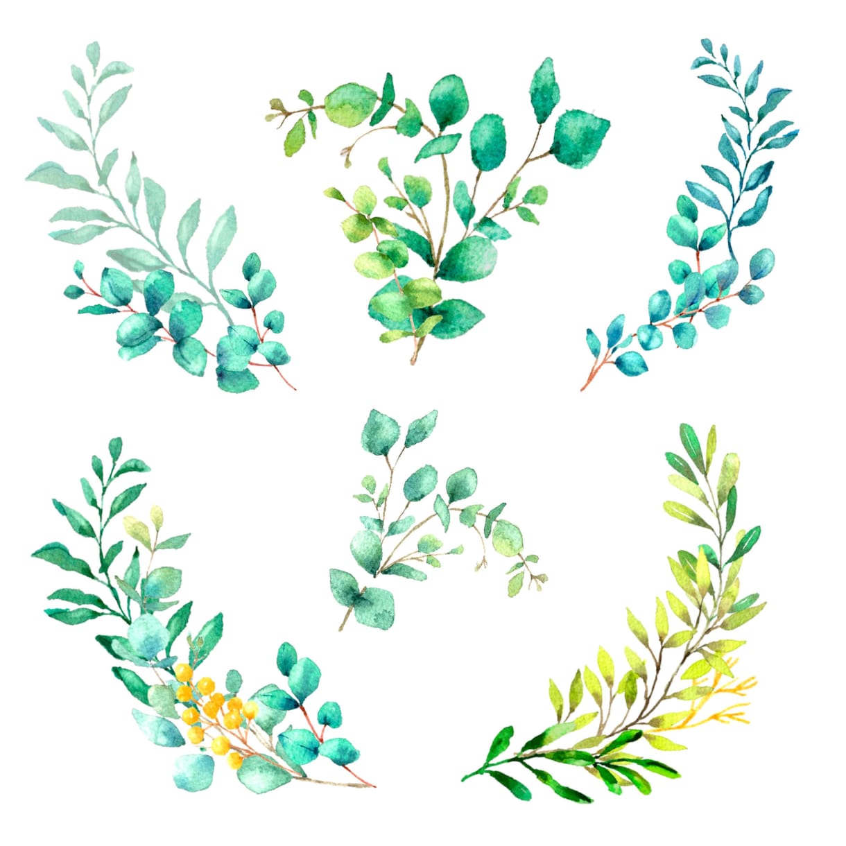 水彩画で植物のイラストを程よくリアルに描きます 〜丁寧なヒアリング〜 温かく優しいタッチが得意です♪ イメージ4