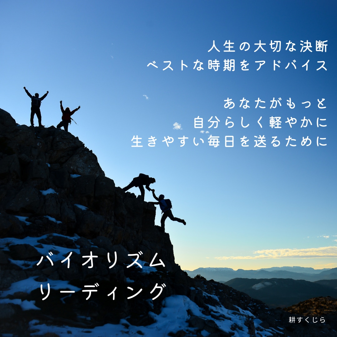 あなたの人生のバイオリズムを読み解きます バイオリズムの流れから人生の決断のタイミングをアドバイス！ イメージ1