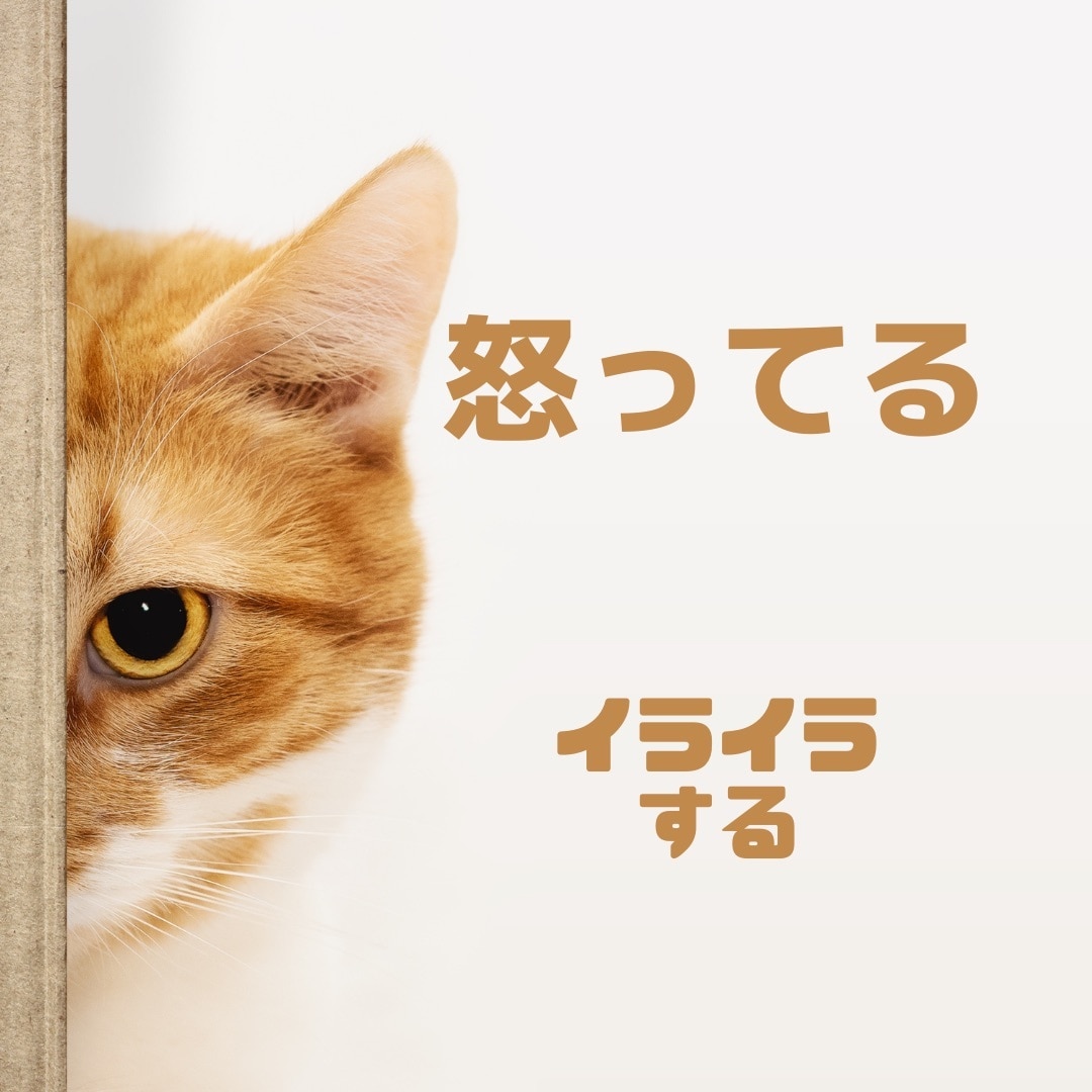 このイライラ言わずにはおさまらない。その話聴きます 何で自分ばかりこんな思いするんだ。何でわかってくれない。 イメージ2